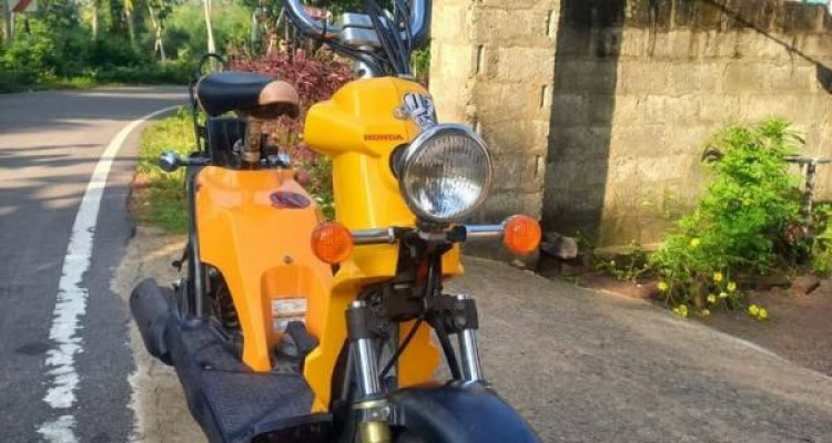 HONDA BITE 2024