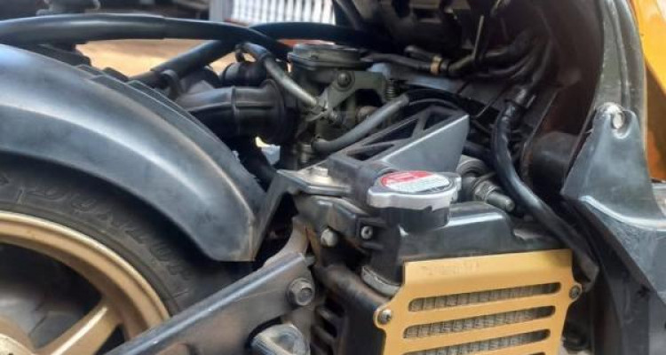 HONDA BITE 2024
