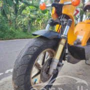 HONDA BITE 2024