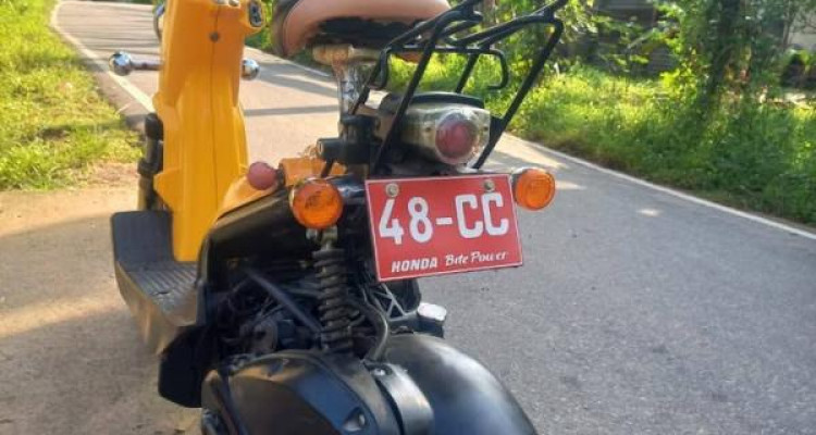 HONDA BITE 2024