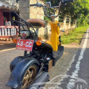 HONDA BITE 2024