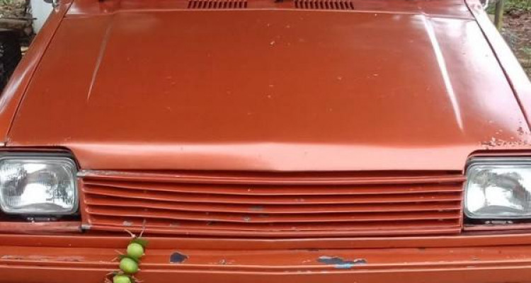 MITSUBISHI COLT 1982