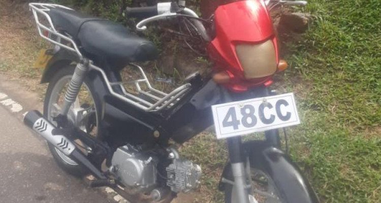 LONCIN FETAR SAFARI 2017
