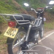 LONCIN FETAR SAFARI 2017