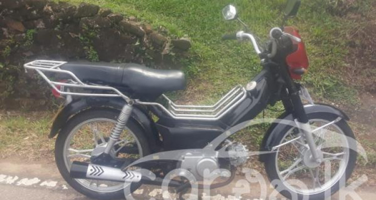 LONCIN FETAR SAFARI 2017