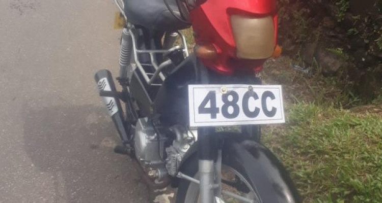 LONCIN FETAR SAFARI 2017