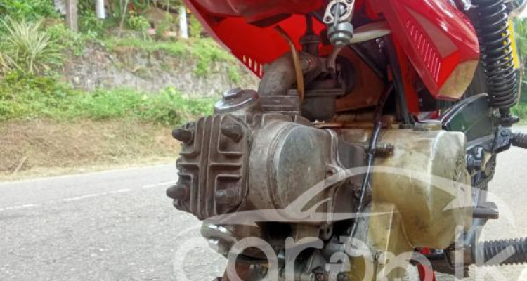LONCIN FETAR SAFARI 2021