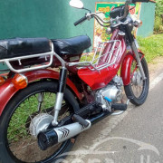 LONCIN 48 2019