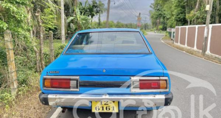NISSAN SUNNY B310 1978