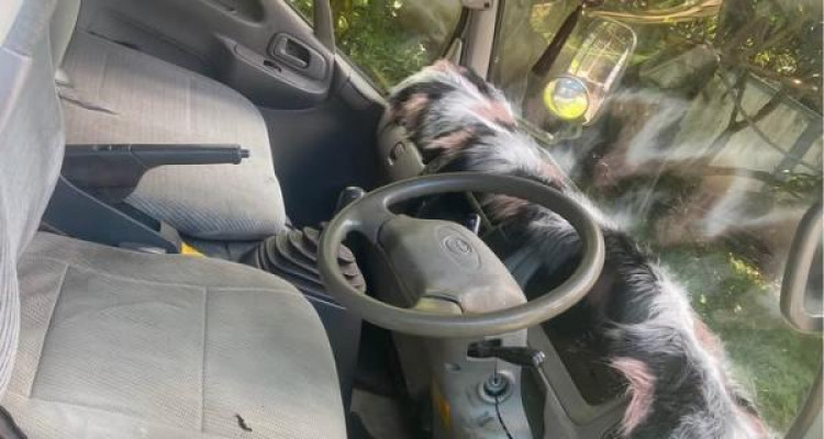 TOYOTA TOYOACE 1997