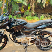 BAJAJ PULSAR 150 2013