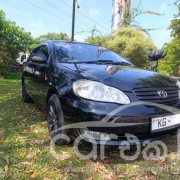 TOYOTA COROLLA 2003