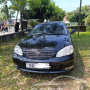 TOYOTA COROLLA 2003