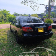 TOYOTA COROLLA 2003
