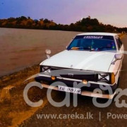 NISSAN SUNNY B310 1979