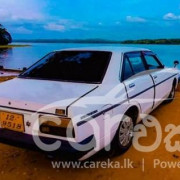 NISSAN SUNNY B310 1979