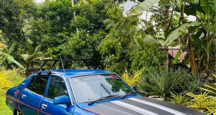 NISSAN SUNNY B211 1981