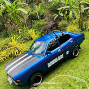 NISSAN SUNNY B211 1981