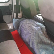 NISSAN CARAVAN 1993