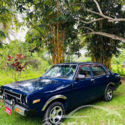 NISSAN SUNNY B310 1982