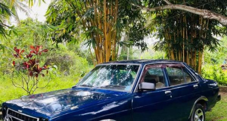 NISSAN SUNNY B310 1982