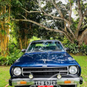 NISSAN SUNNY B310 1982