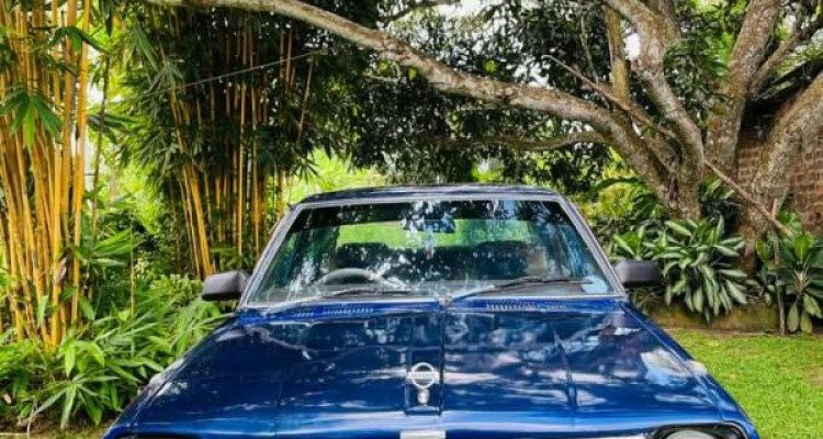 NISSAN SUNNY B310 1982