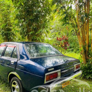 NISSAN SUNNY B310 1982