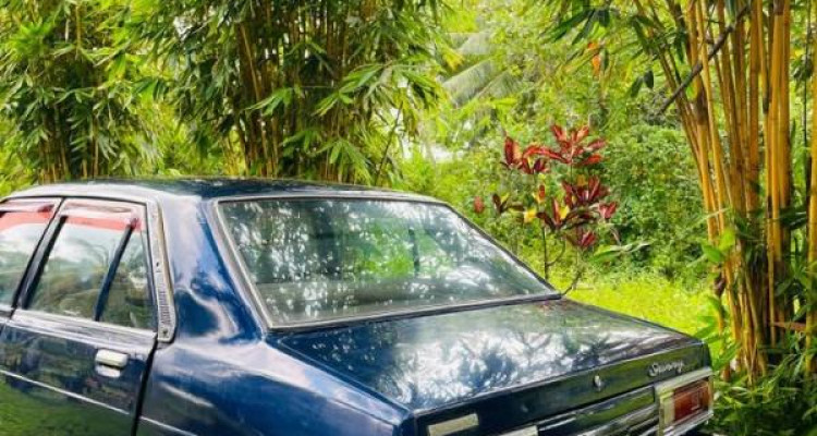NISSAN SUNNY B310 1982