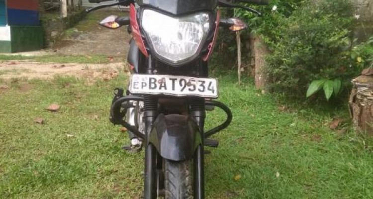 BAJAJ PULSAR 135 2013