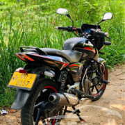 BAJAJ PULSAR 150 2010