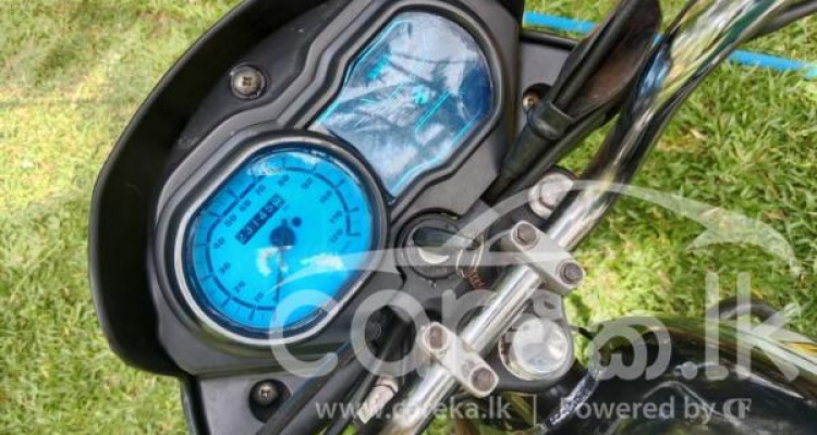 BAJAJ PULSAR 135 2019