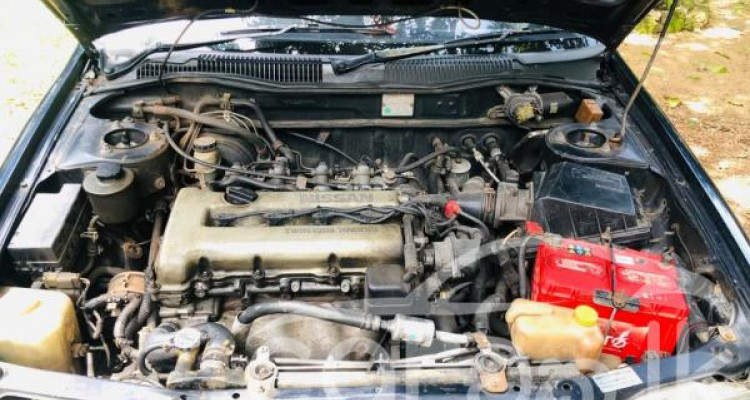 NISSAN PRIMERA 2000