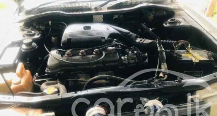 NISSAN DOCTOR SUNNY 1992