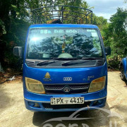 TATA ACE 2015