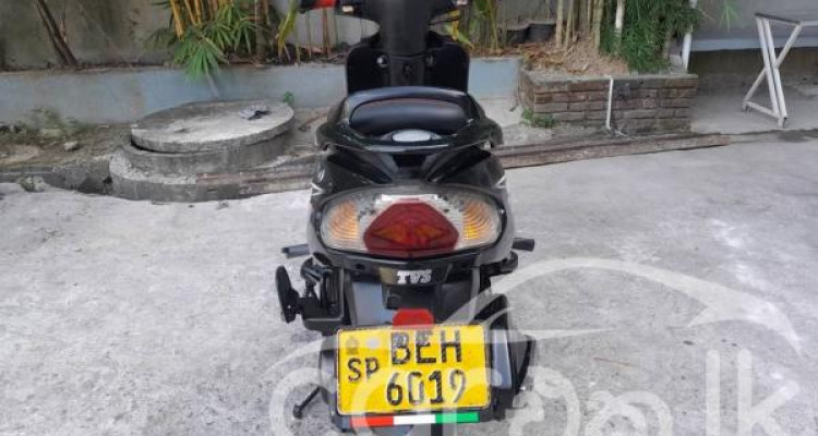 TVS WEGO 2016