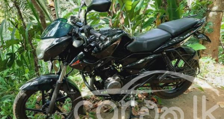 BAJAJ PULSAR 135 2011