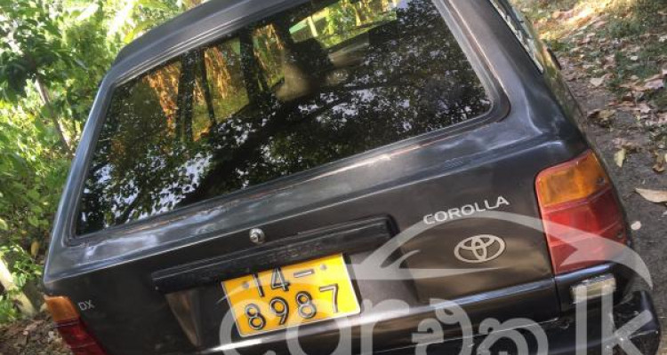 TOYOTA COROLLA 1984