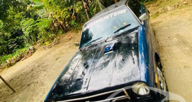 NISSAN SUNNY 1979