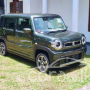 SUZUKI HUSTLER 2024