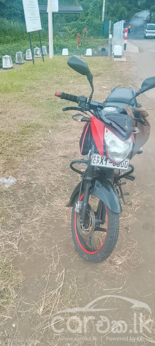 BAJAJ PULSAR 2013