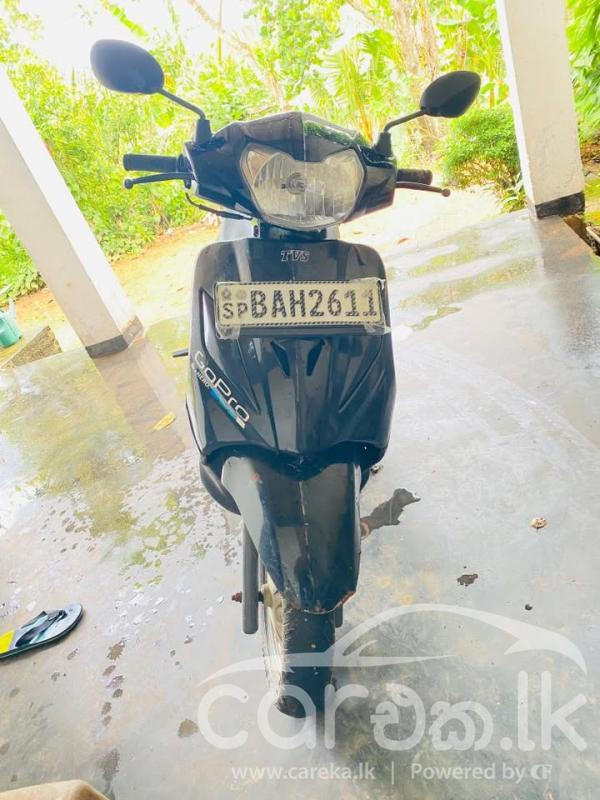 TVS WEGO 2012
