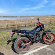 YAMAHA TW200 2017