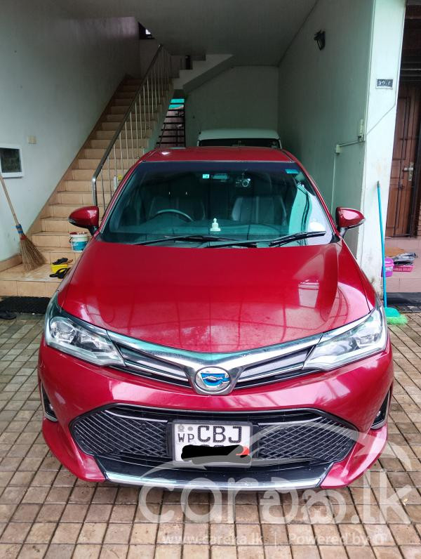 TOYOTA AXIO 2019