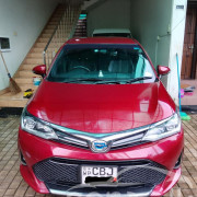 TOYOTA AXIO 2019
