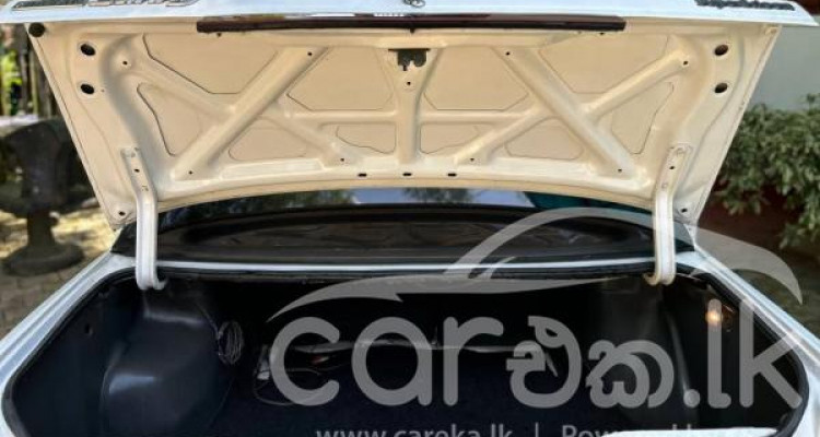 NISSAN TRAD SUNNY 1986