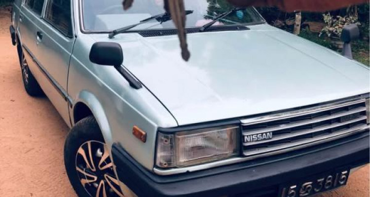 NISSAN SUNNY HB11 1984