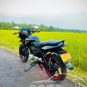 BAJAJ PULSAR 150 2013
