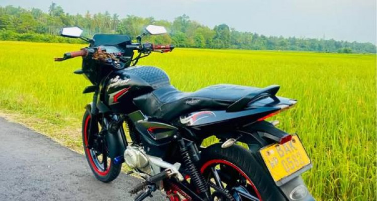 BAJAJ PULSAR 150 2013