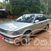 TOYOTA COROLLA 1991